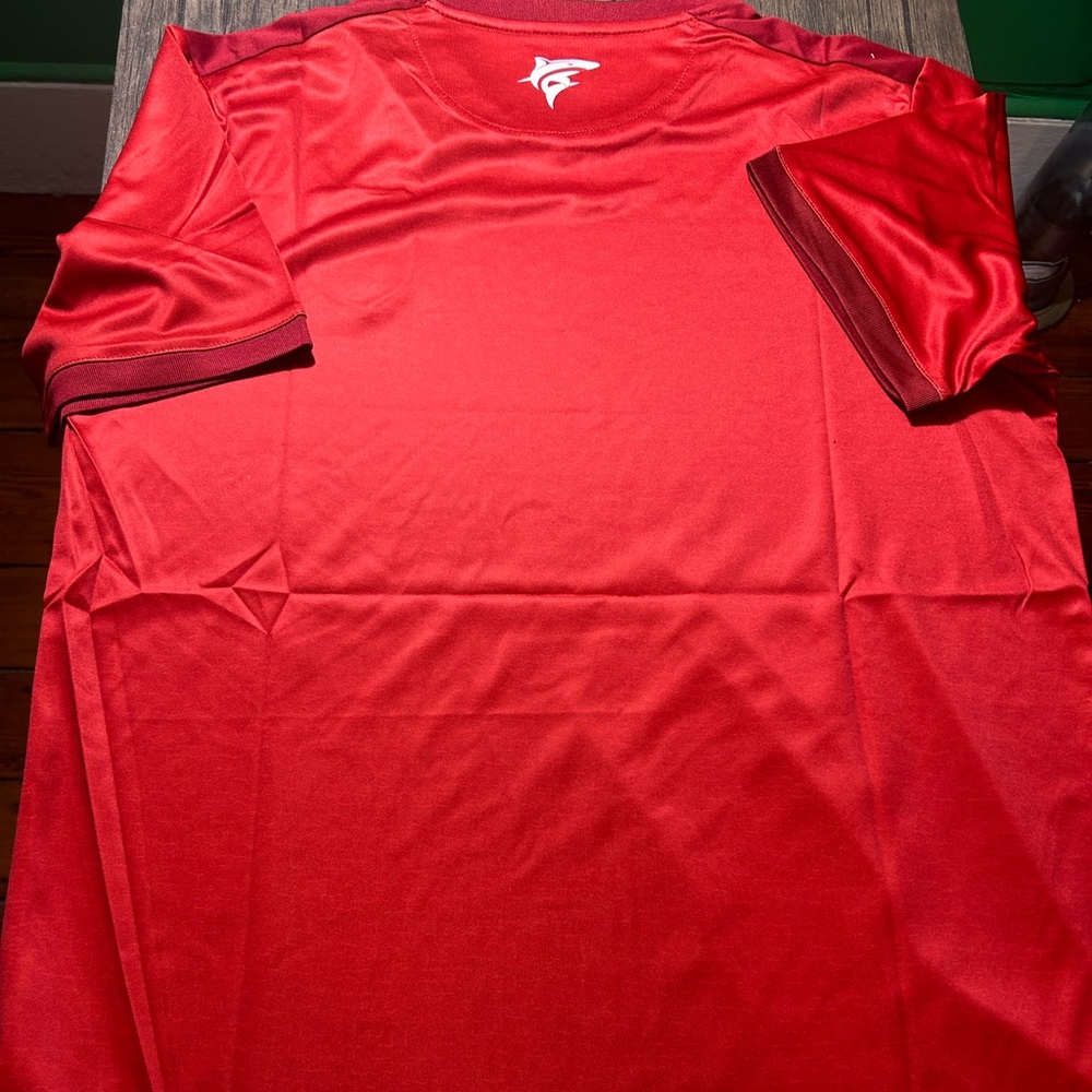 Tempo brand AFRICA CAPE VERDE Nat’l team Men's JERSEY. Sz M,L,XL,2X New w tags - Picture 2 of 5